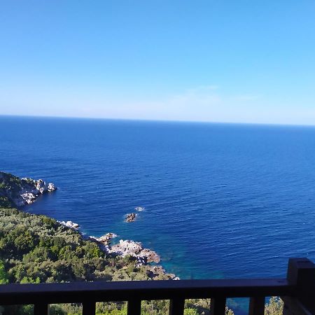 Double Studio Room In Mylopotamos With Beautifull View 桑加拉达 外观 照片